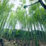 奈良公園の高畑町裁判所跡地に開園した瑜伽山園地（ゆうがやまえんち)「旧山口氏南都別邸庭園」が美しい！