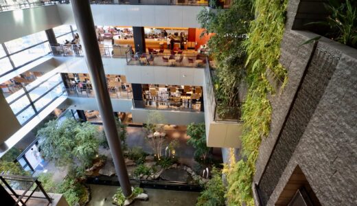 JR熊本駅ビル『ぼうけんの杜』は自然を凝縮した水と緑の屋内立体庭園！人の生産性や幸福感を向上させるバイオフィリック・デザイン