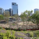 グラングリーン大阪（うめきた２期 ）都市公園『うめきた公園（ノースパーク）』の最新状況 25.07