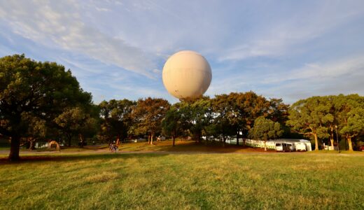 Googleアルゴリズム再評価で個人ブログが復活？　2025年10月アクセス報告