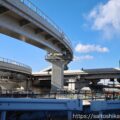 th_IMG_2449-scaled