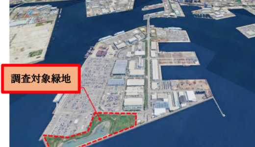堺泉北港「泉北6区先端緑地」約6.3haを官民連携で再生！官民連携による活用方法を探るサウンディング型市場調査を開始。